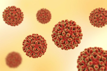 viem gan virus